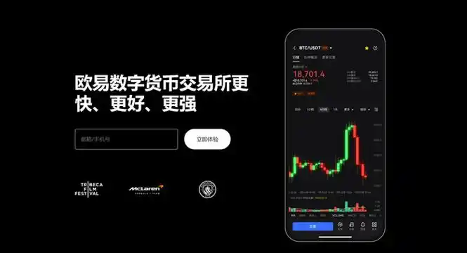 国际区块链资产平台平台展示图